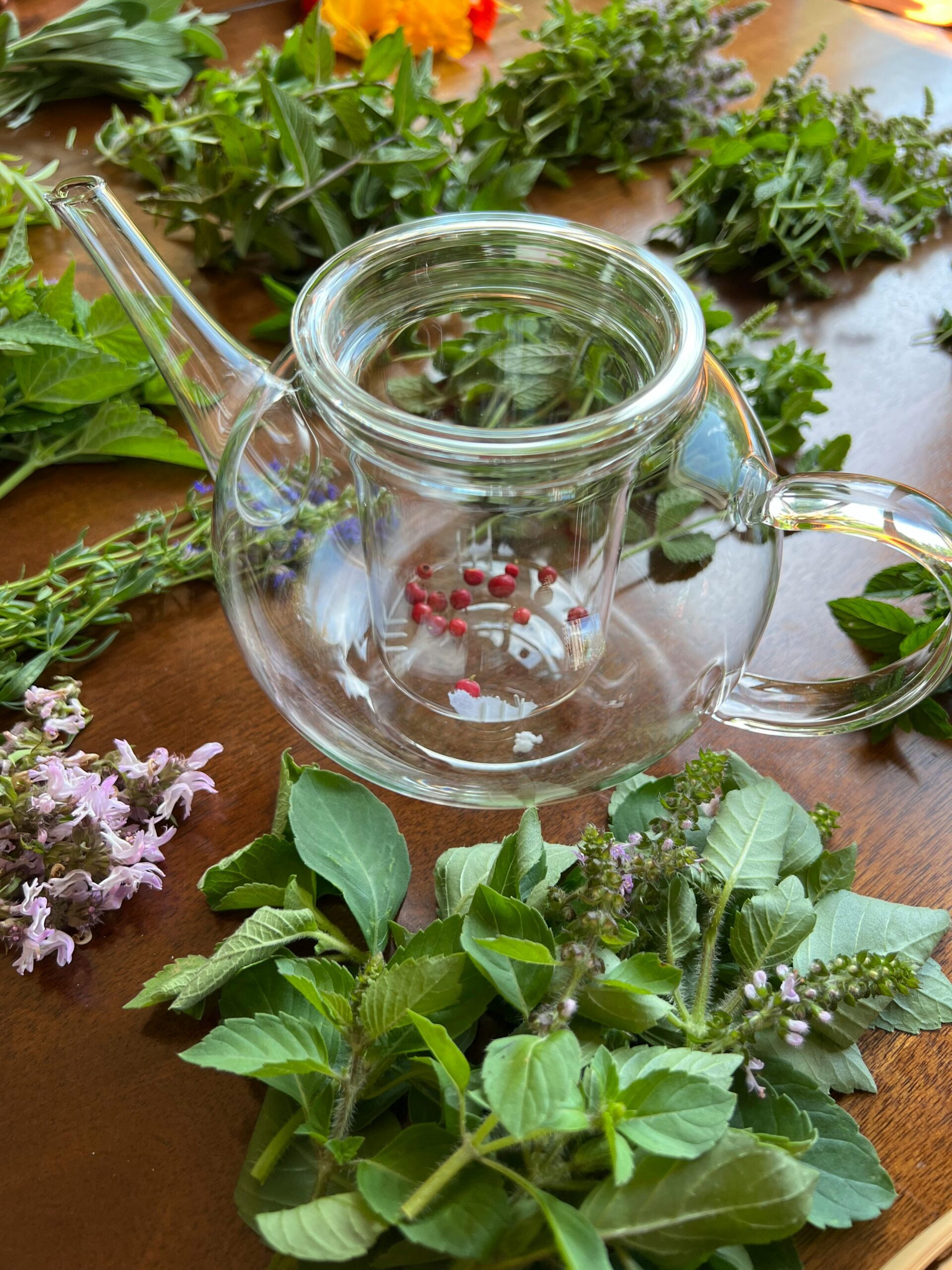 Photo de mélisse officinale