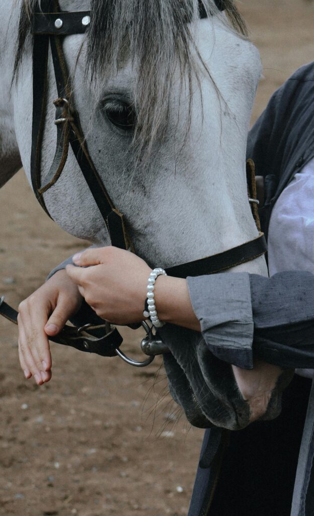 le cheval un animal sensible