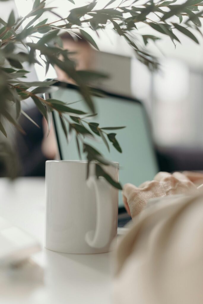une plante sur son bureau
