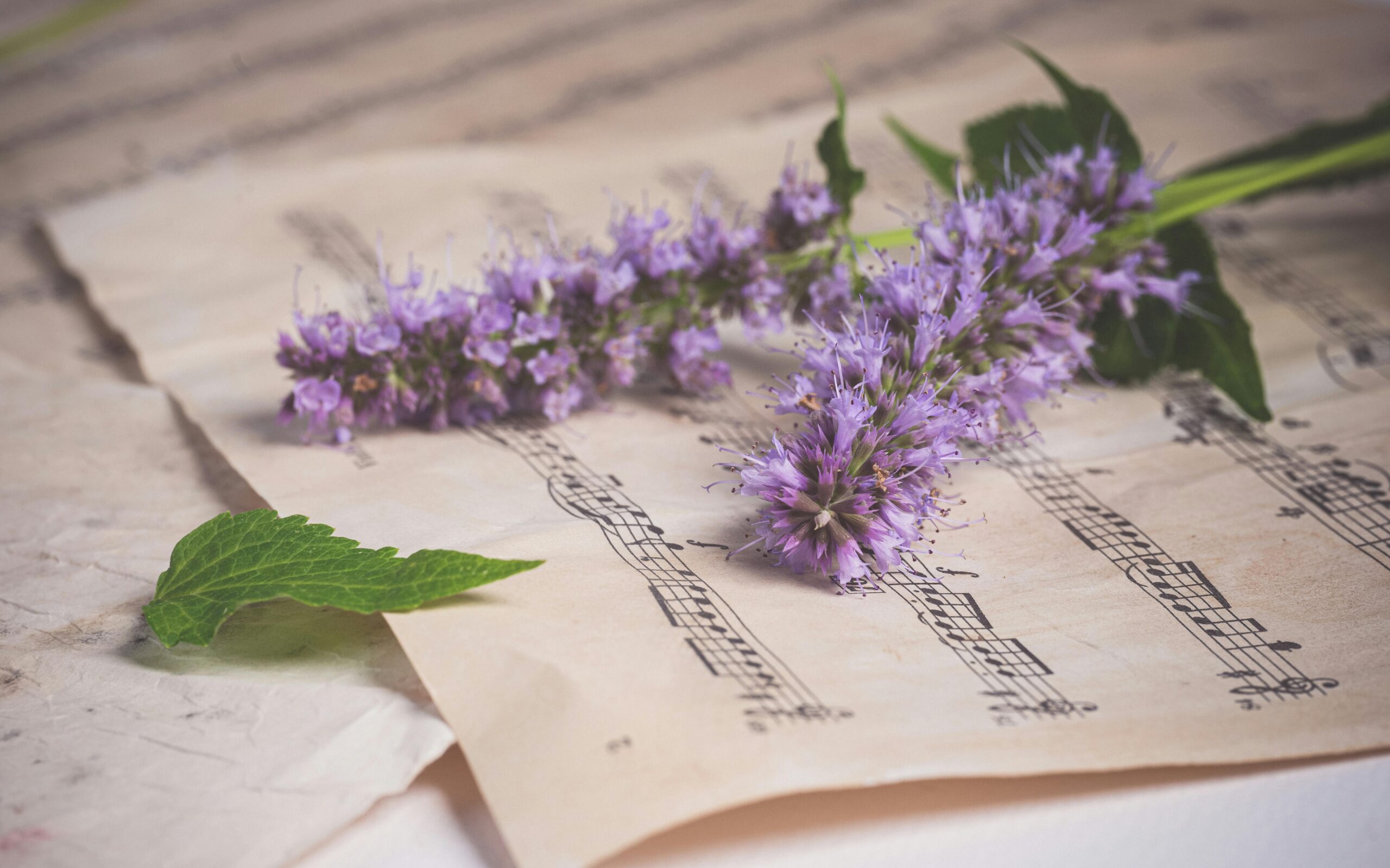 partition musique sacrée