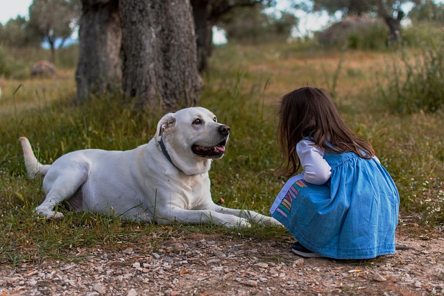 petite fille et son chien